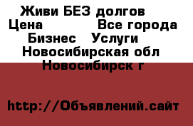 Живи БЕЗ долгов ! › Цена ­ 1 000 - Все города Бизнес » Услуги   . Новосибирская обл.,Новосибирск г.